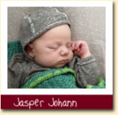 Jasper Johann