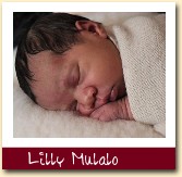 Lilly Mulalo