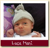 Luca Mani