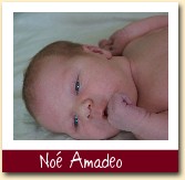 Noé Amadeo